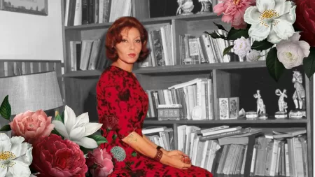 Clarice Lispector livros que irão transformar a sua vida. Para conhecer Clarice Lispector obra completa e muito mais