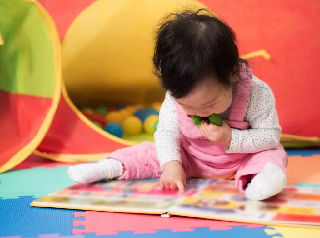 melhores livros para bebês